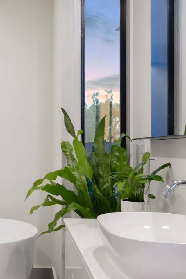 plants-shop-product-gallery-img-20 plants shop product gallery img 20