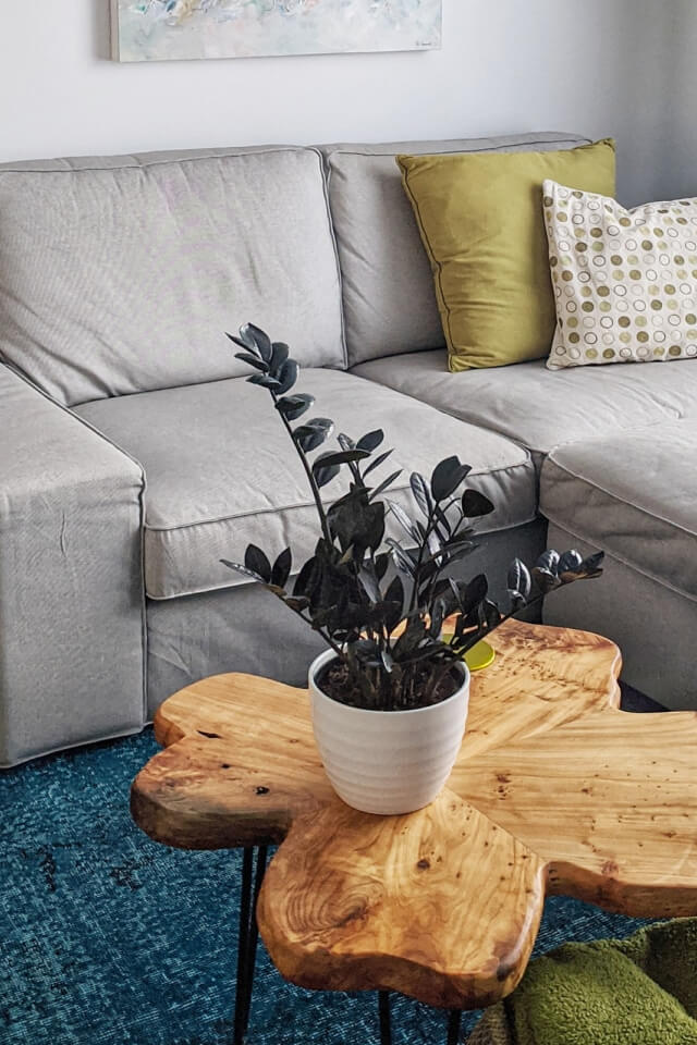 plants-shop-product-gallery-img-3 plants shop product gallery img 3